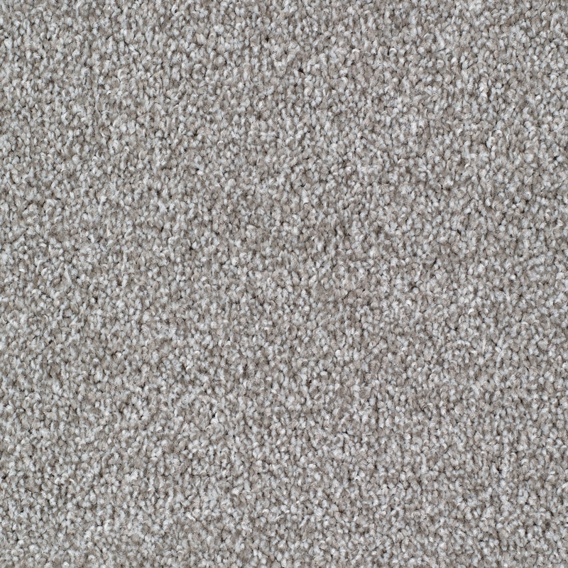Seaford Platinum Carpet Flooring
