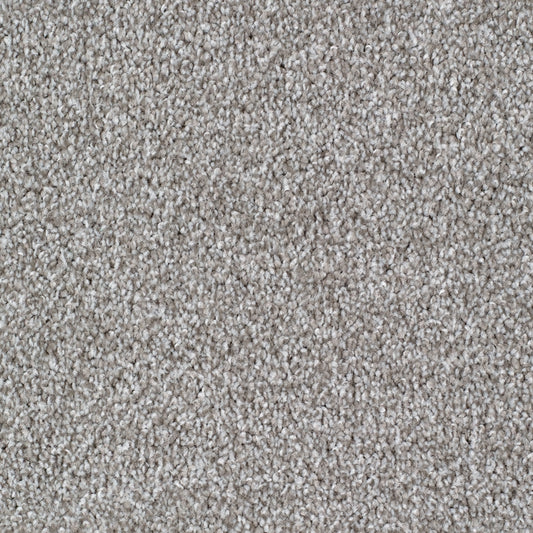 Seaford Platinum Carpet Flooring