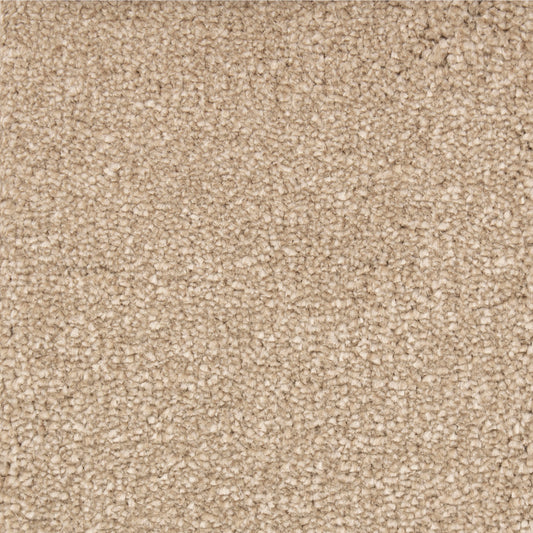 Biscuit Color Carpet
