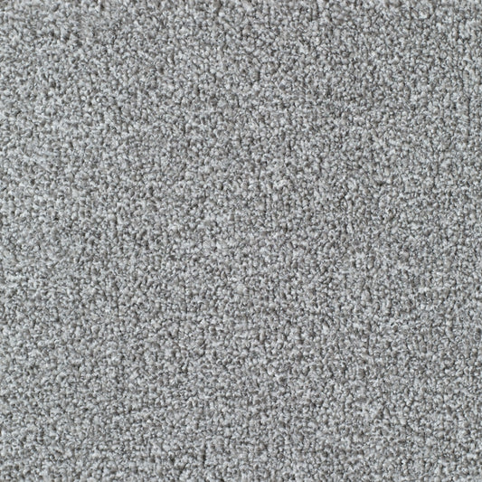 Light Grey Carpet Flooring