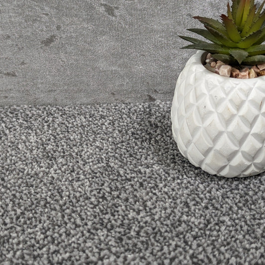 SCS Olympia Silver Saxony Carpet